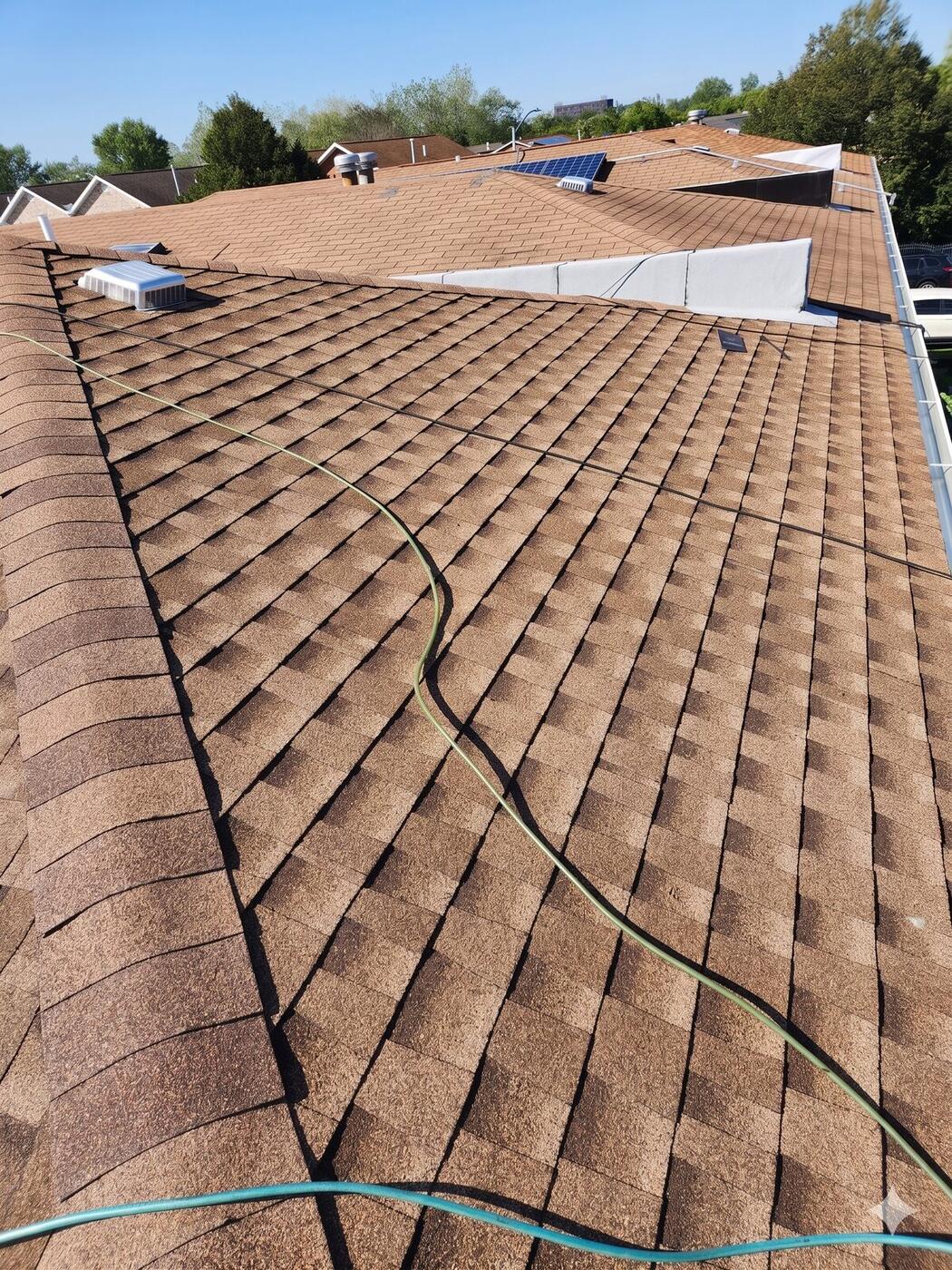 Residential asphalt shingle roof